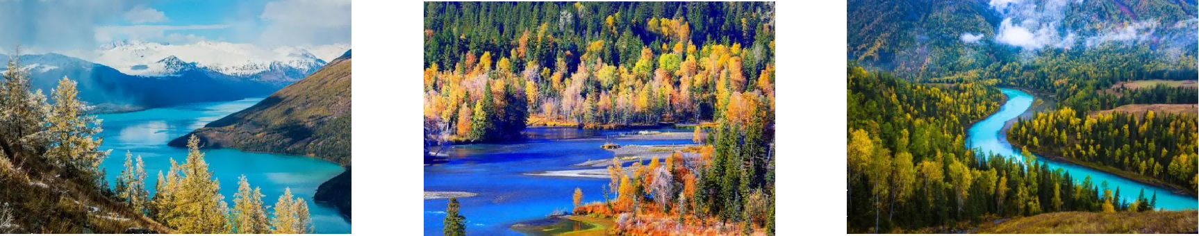 suncitygroup太阳集团·(中国)首页登录