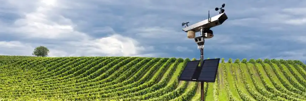 suncitygroup太阳集团·(中国)首页登录