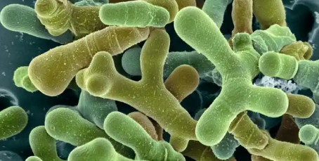 suncitygroup太阳集团·(中国)首页登录