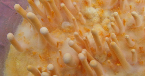 suncitygroup太阳集团·(中国)首页登录