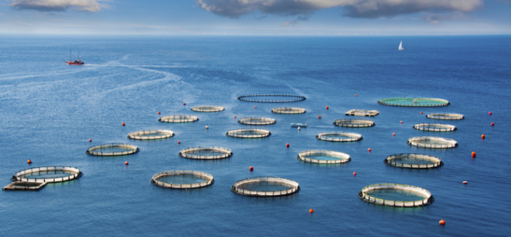 suncitygroup太阳集团·(中国)首页登录