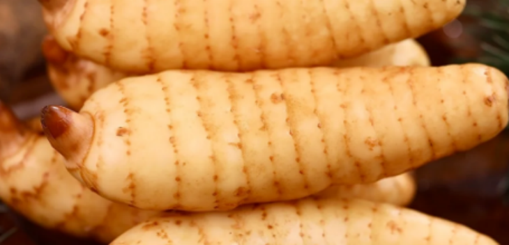 suncitygroup太阳集团·(中国)首页登录