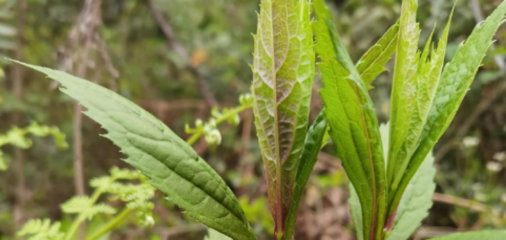 suncitygroup太阳集团·(中国)首页登录