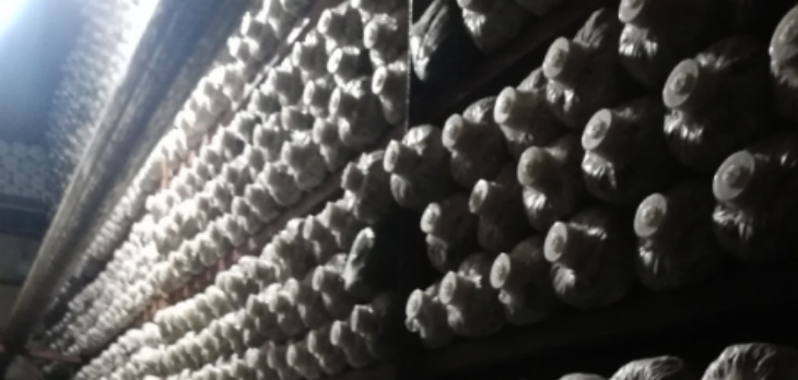 suncitygroup太阳集团·(中国)首页登录