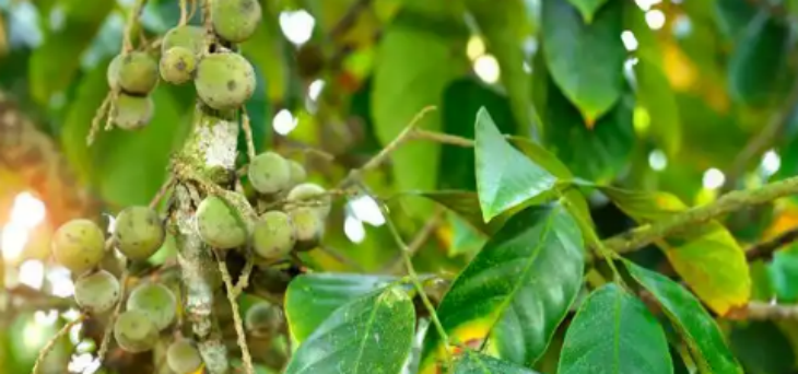 suncitygroup太阳集团·(中国)首页登录