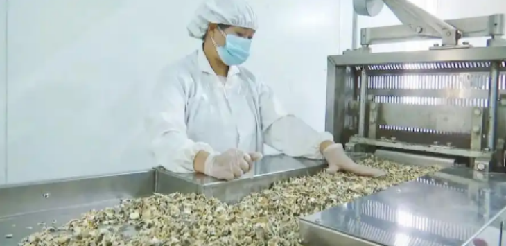 suncitygroup太阳集团·(中国)首页登录