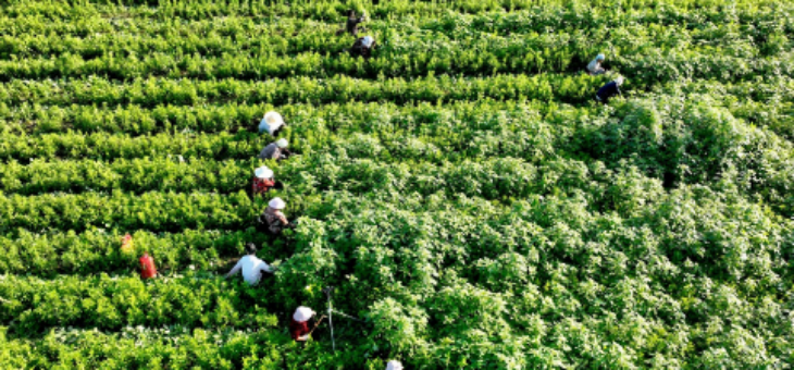 suncitygroup太阳集团·(中国)首页登录