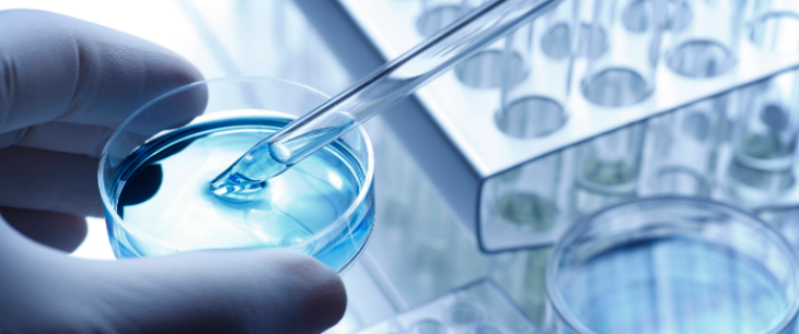 suncitygroup太阳集团·(中国)首页登录