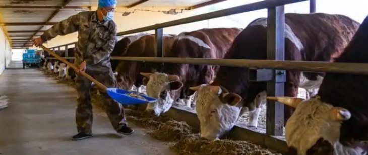 suncitygroup太阳集团·(中国)首页登录