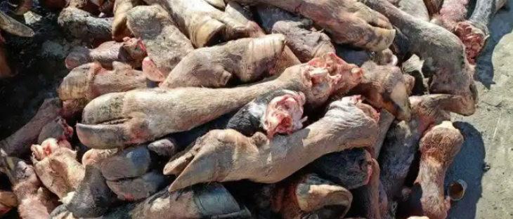 suncitygroup太阳集团·(中国)首页登录