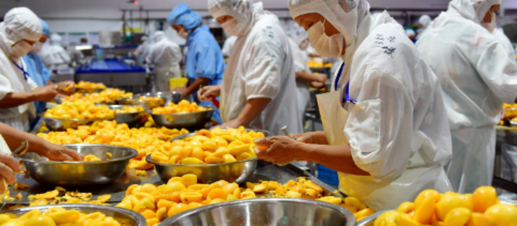 suncitygroup太阳集团·(中国)首页登录