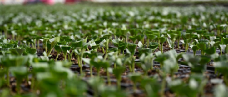 suncitygroup太阳集团·(中国)首页登录