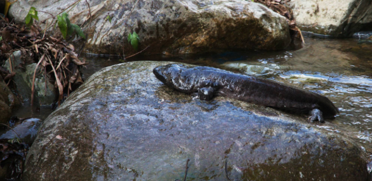 suncitygroup太阳集团·(中国)首页登录